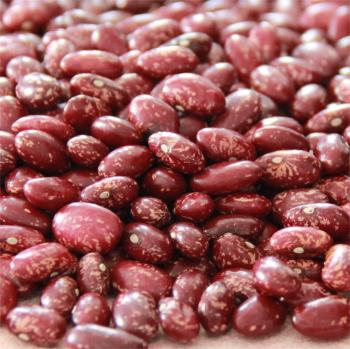 Red speckled kidney beans round shape