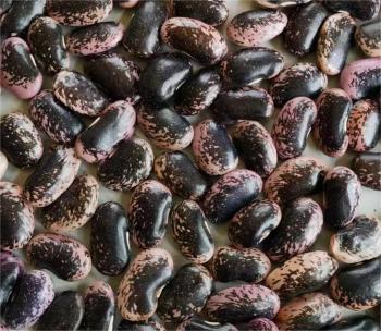 Large black speckled kidney beans